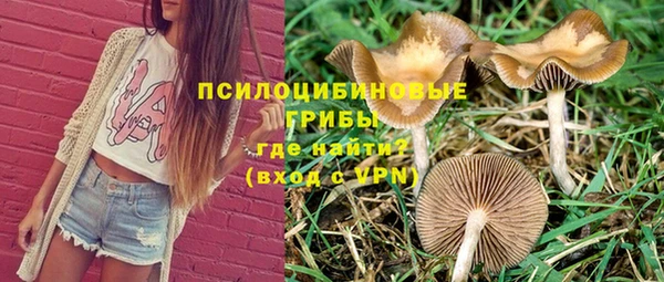 марки nbome Медвежьегорск