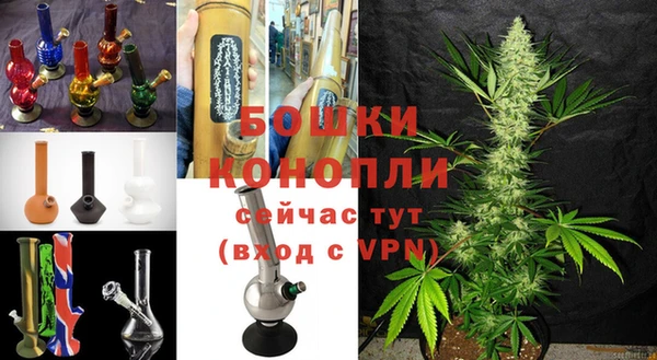 стаф Мегион