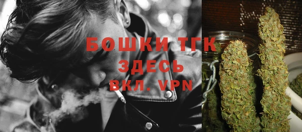 стафф Медногорск